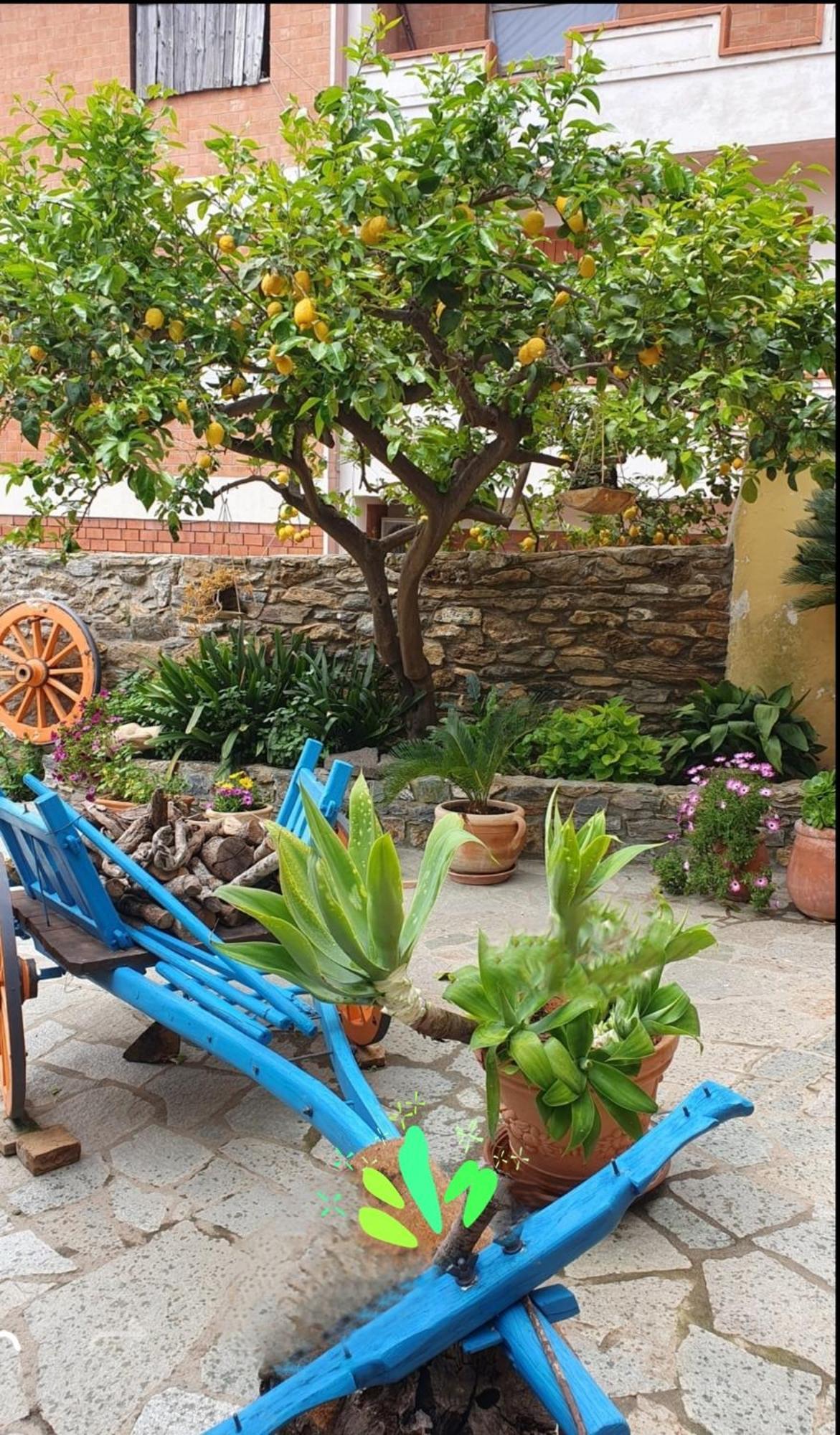Bed and Breakfast Su Carreri Armungia Exterior foto