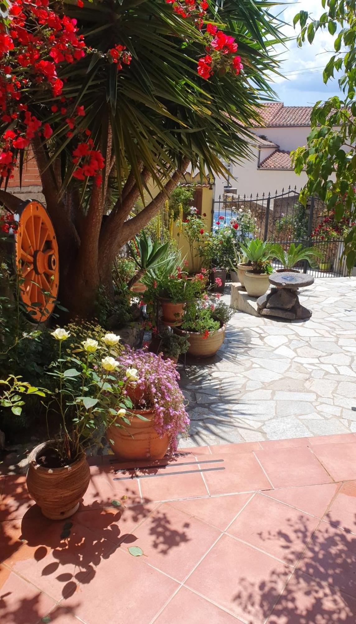 Bed and Breakfast Su Carreri Armungia Exterior foto