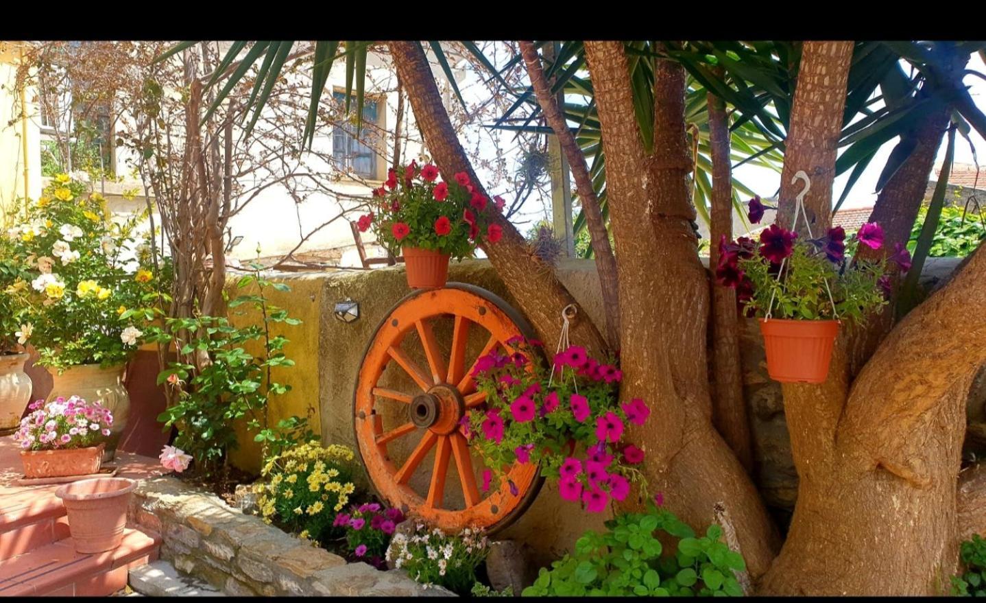 Bed and Breakfast Su Carreri Armungia Exterior foto